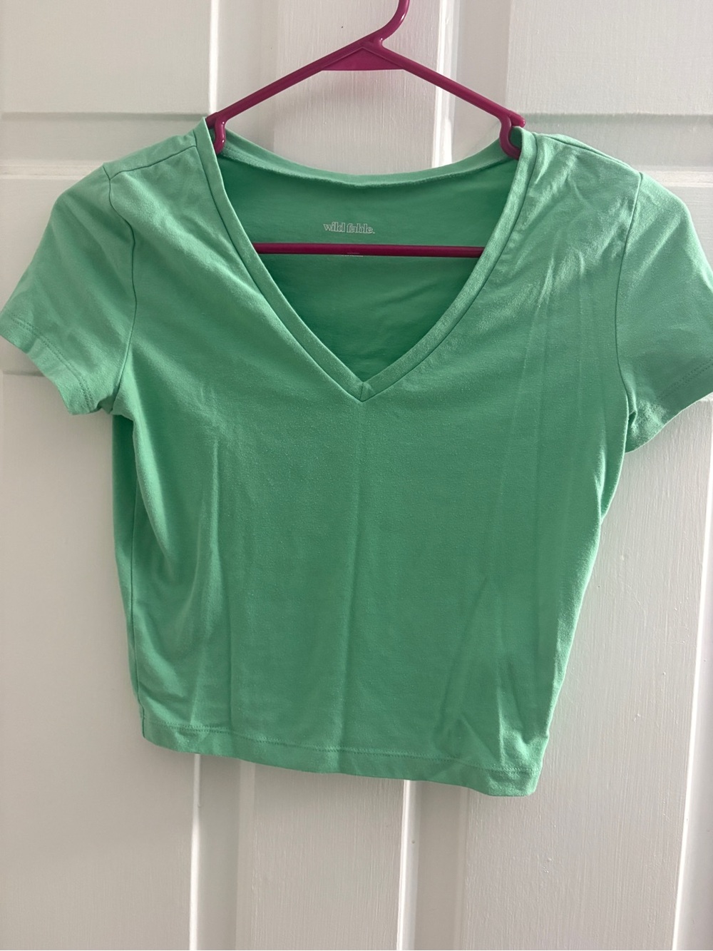 wild fable Mint Green V-Neck Crop Top